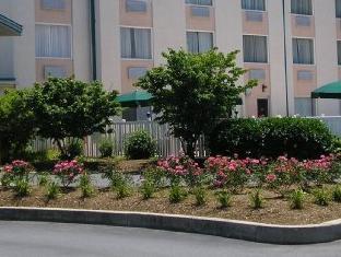 Comfort Rehoboth Estalagem 3*
